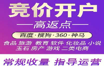行业领先企业的SEM代理案例剖析